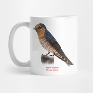 Pacific Swallow | Hirundo tahitica Mug